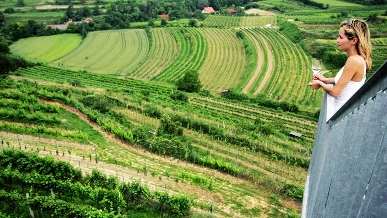 A glimpse at Traisental, © weinfranz.at