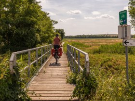 und durchs Grüne von Breclav nach Wien, © Niederösterreich Werbung / Franziska Consolati