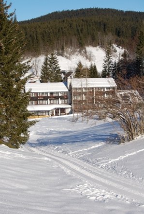 BS Ötscher Hotel im Ortsteil  Ötscherwiese in Lackenhof, © Familie Butt