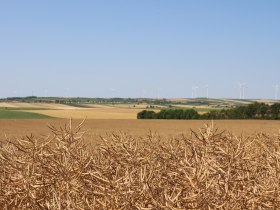 Familienradroute, © VinoVersum Poysdorf