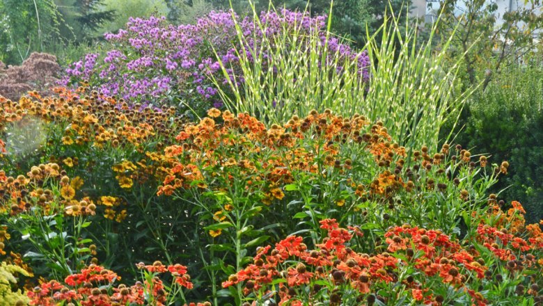 Spätsommerpracht bei Oblerleitner Gartenkultur, © Reinhard Oberleitner