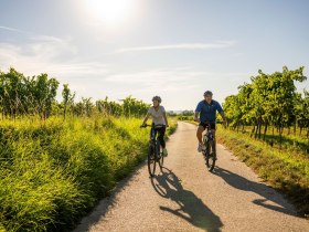 Radfahren im Kamptal, © POV Robert Herbst