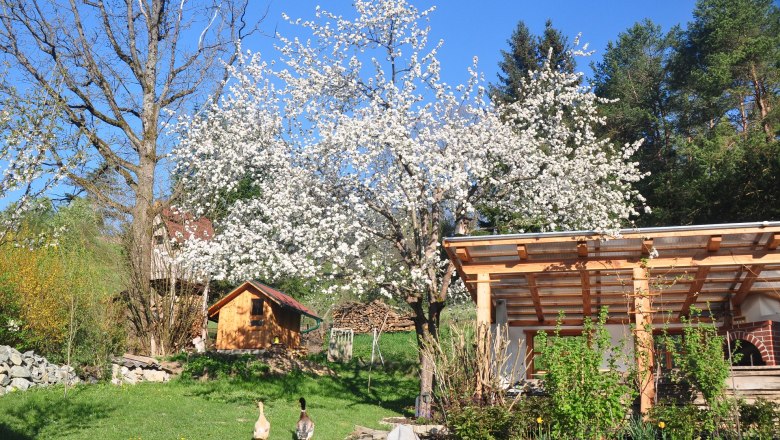 Haus König, © Größbacher