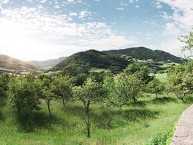 Naturpark Jauerling, © Wachau-Nibelungengau-Kremstal