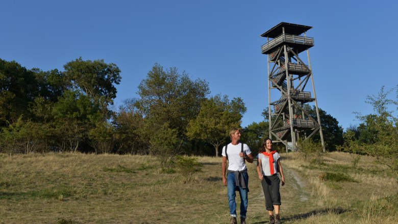 Königswarte Berg, VIA.CARNUNTUM., © Donau Niederösterreich, Steve Haider