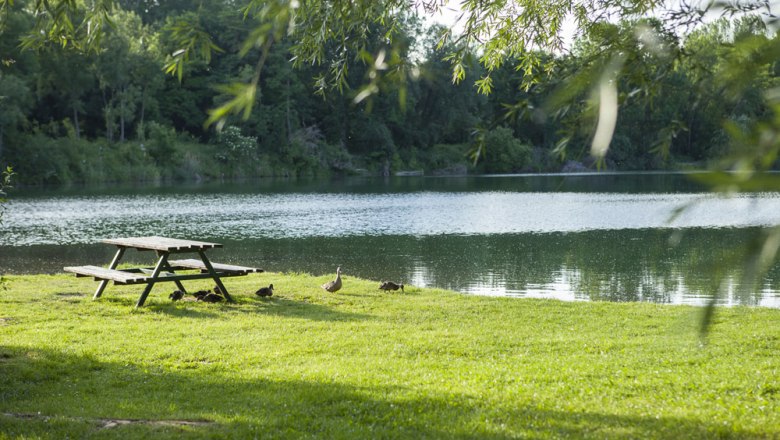 Traismauer swimming lakes, © Stadtgemeinde Traismauer, David Schreiber