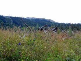 Naturpark Ötscher-Tormäuer, © Mostviertel - OÖ Mariazellerweg