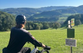 Elsbeere Singletrail, © MTB-Initiative St.Pölten