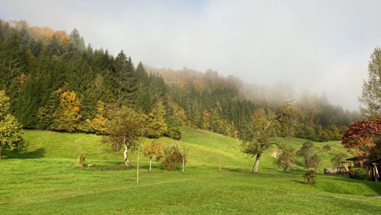 weitläufiger-garten-vor-dem-ferienhaus, © Ferienhof Kirchau