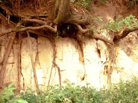 Lösswand, © Donau Niederösterreich - Kamptal-Wagram-Tullner Donauraum