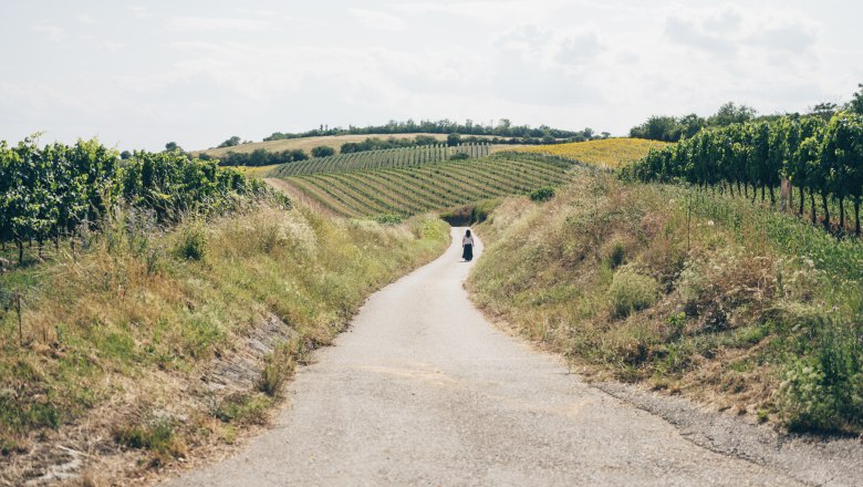 Winemaker Irene Tagwerker walks through the wine landscape in Herrnbaumgarten, © Niederösterreich Werbung/ Ian Ehm