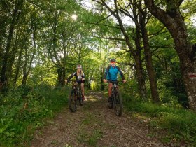 MTB Wienerwald, © Wienerwald Tourismus GmbH / Christoph Kerschbaum