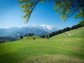 Kienberg, Zweiersdorf, © Wiener Alpen in Niederösterreich