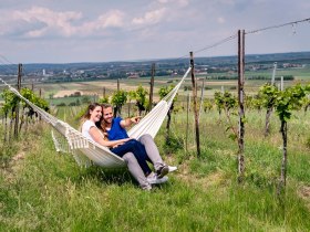 Pillersdorf, © Weinviertel Tourismus / Robert Herbst