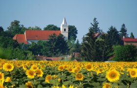 Kirche Ringelsdorf, © Gemeinde Ringelsdorf-Niederabsdorf