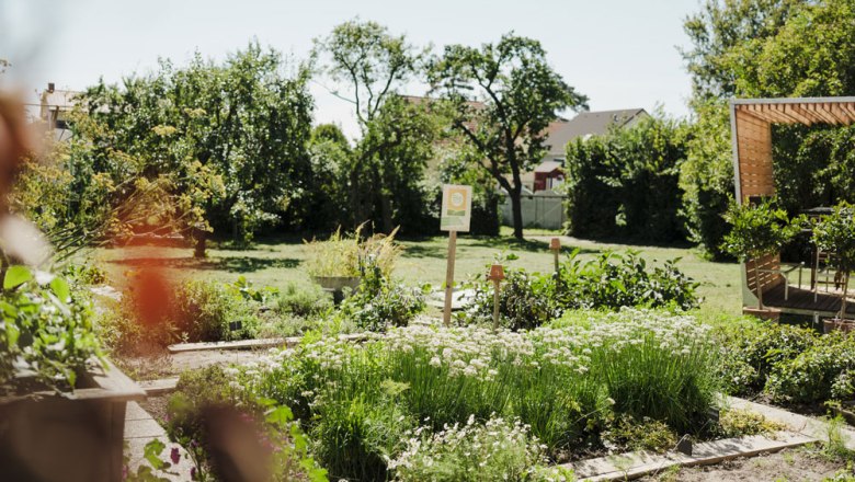 Selbstpflück-Beete und Gartenschere für die Gäste, © Niederösterreich Werbung/Michael Reidinger