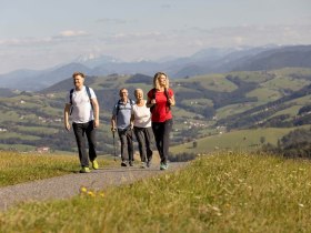 Die sanfte Hügellandschaft an der Moststraße erkunden, © schwarz-koenig.at