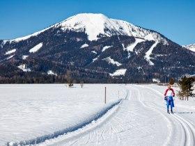 Langlaufen am Fuße der Gemeindealpe, © Fred Lindmoser