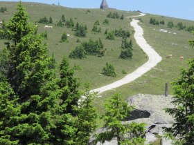 Hochwechselstraße hinauf zum Hochwechsel Gipfel, Joglland-Waldheimat in der Oststeiermark, © Oststeiermark Tourismus