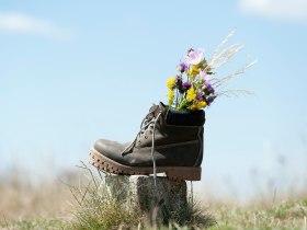 Wandern im Weinviertel, © Weinviertel Tourismus / Himml