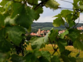 Ab ins Pulkautal, © Weinviertel Tourismus / Mandl