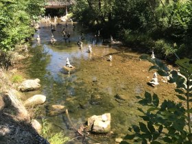 Steinmännchen in der Kleinen Erlauf, © Mostviertel