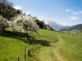 Grünbacher Sattel, © Wiener Alpen in Niederösterreich