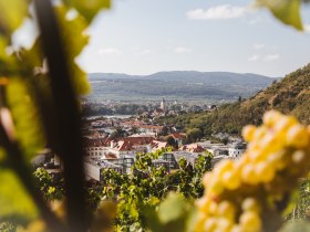 Blick auf Krems-Stein, © Wachau-Nibelungengau-Kremstal