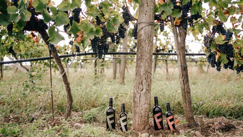 Impressionen aus dem Weingarten, © Bioweingut Frühwirth