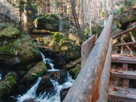 Ysperklamm, © Waldviertel Tourismus