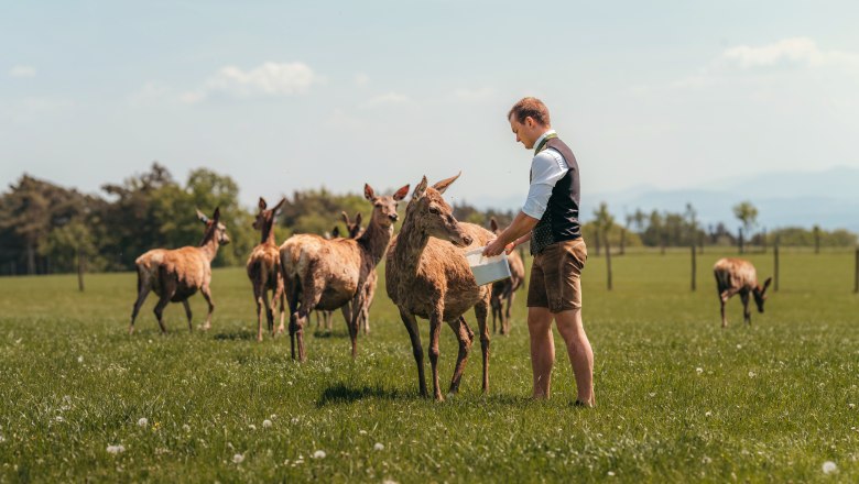 Patrick Langthaler bei de Rotwildfütterung, © Niederösterreich Werbung/Daniela Führer