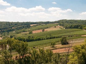 Aussicht ins westliche Weinviertel, © Weinviertel Tourismus GmbH