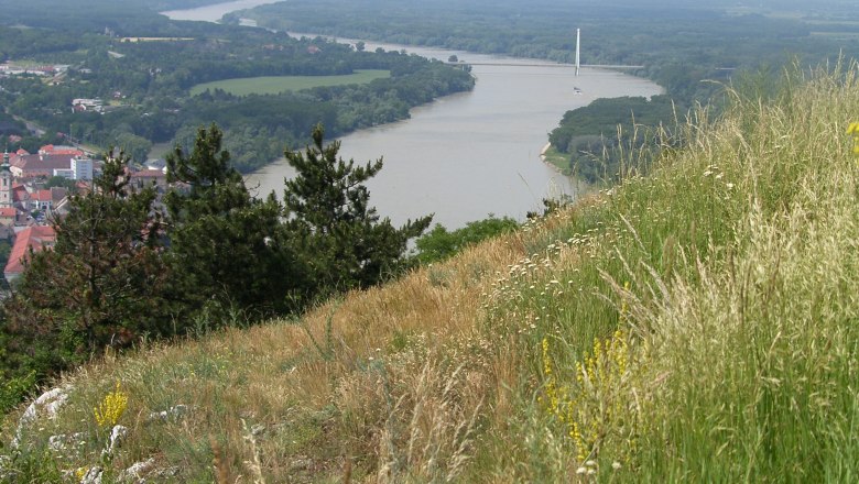 Aussicht Braunsberg, © Gästeinfobüro Hainburg/Donau