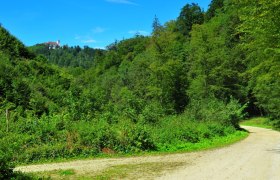 Wanderweg Maria Langegg, © Region Dunkelsteinerwald