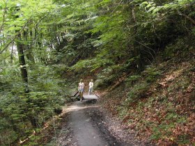 Hagenbachklamm, © Wienerwald