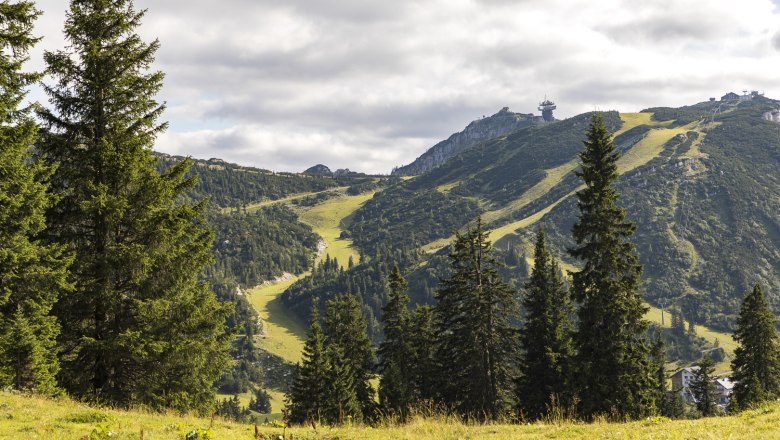 Hochkaralm, © Theo Kust