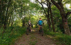 MTB Wienerwald, © Wienerwald Tourismus GmbH / Christoph Kerschbaum