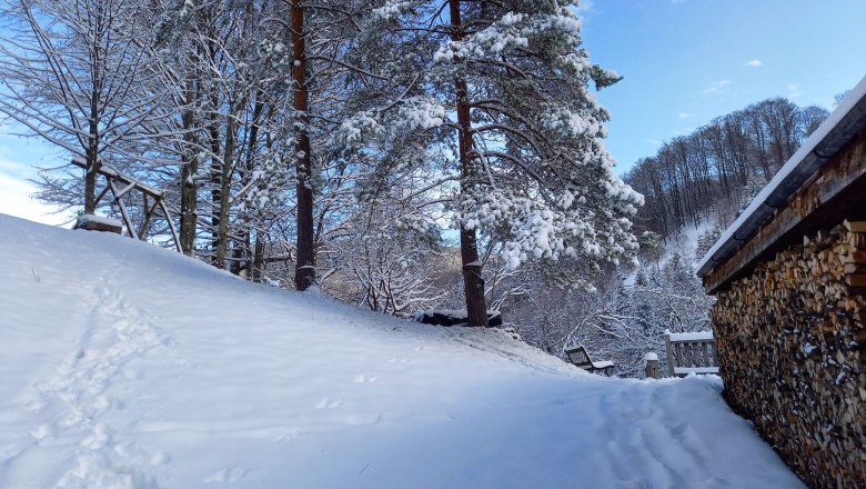 Garten im Winter, © Reisenbichler