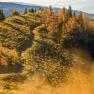 Wandern im Herbst, © Wiener Alpen/Martin Fülöp