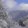 Winter in Lackenhof, © Familie Prem