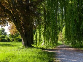 Schlosspark Eckartsau, © ÖBF Archiv, Panzer