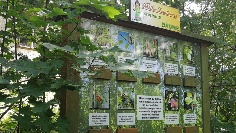 Millas Zauberweg in Albrechtsberg an der Großen Krems, © Roman Zöchlinger