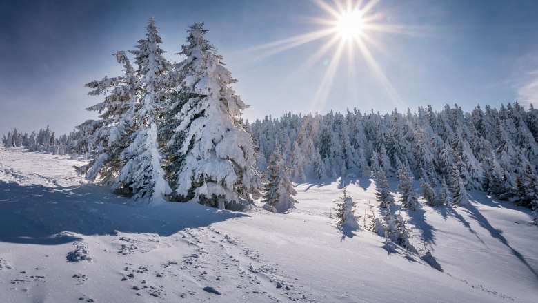 Winter in Lackenhof, © Gerald Demolsky