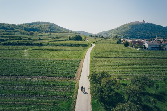 In the heart of beautiful wine-growing landscape, © Ian Ehm