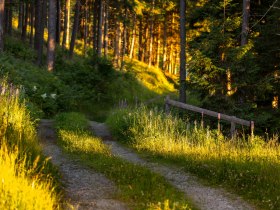 Wandern am Alpannonia Weitwanderweg, © Wiener Alpen in Niederösterreich - Alpannonia