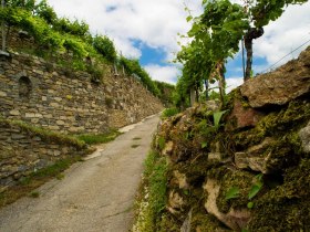 Steinterrassen in der Wachau, © Rita Newman