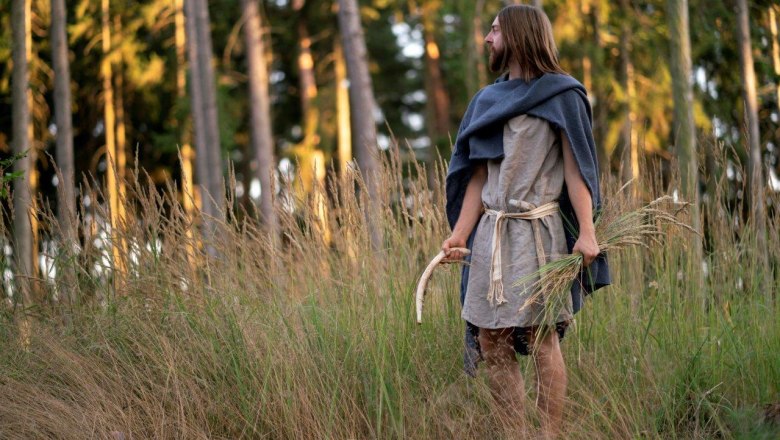 Early Bronze Age farmer with sickle at harvest – visualization, © Benedict Seidl