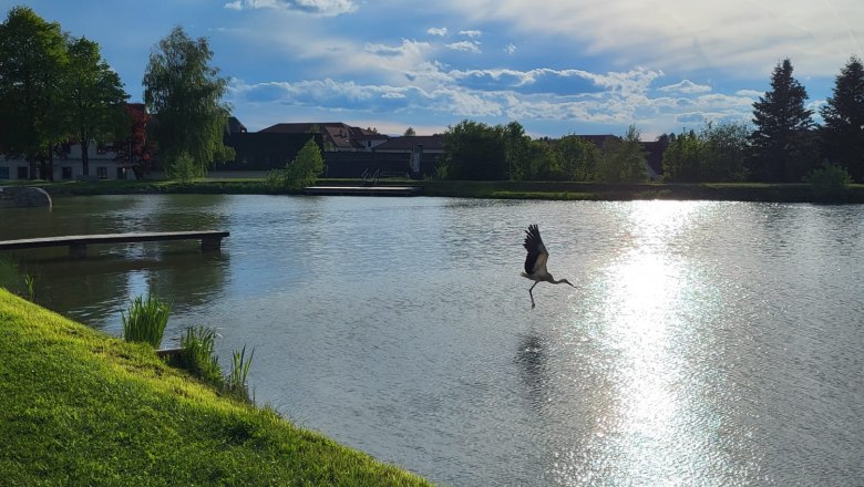 Oberer Teich in Ottenschlag, © E.H.