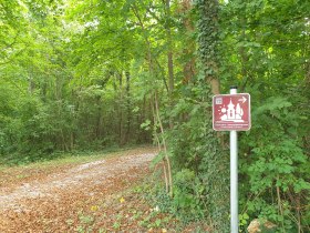 Kleine Au, Fischamend, Leitsystem Ortsspaziergang, © Donau Niederösterreich, Daniela Wagner