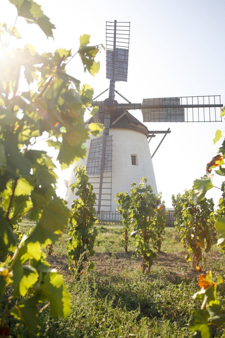 Enjoy the view above Retz, © Weinviertel Tourismus/ Bartl